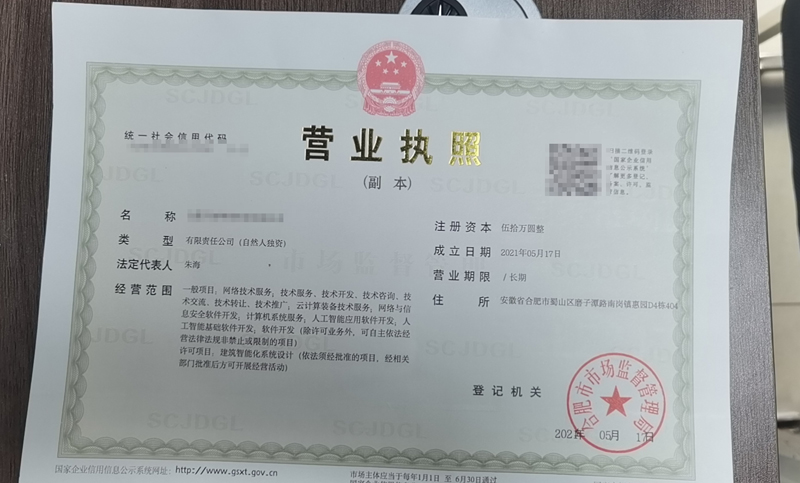 合肥某網絡科技公司